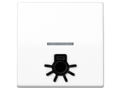 abt.Sym.LIGHT key arctic white для подсвечиваемых кнопок AS 591 L1KO5 WW