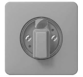 Крышка поворотного переключателя - серая заглушка CD 1541 GR