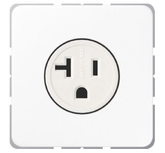Розетка NEMA 20A 125V американского стандарта, цвет Alpine White - вилка CD 521-20 WW.