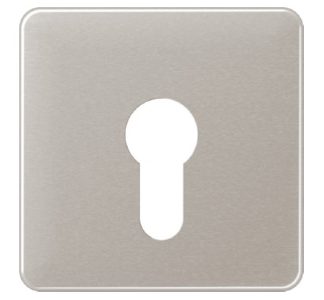 Крышка из PLA для замка зажигания - Платиновая накладка для замка зажигания CD 525 PT