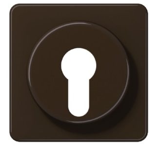 Коричневая крышка для замка зажигания - Коричневая накладка на замок зажигания CD 528 BR