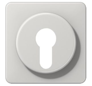 Крышка выключателя зажигания. - Серая накладка на выключатель CD 528 LG