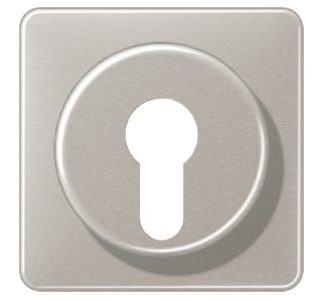 Накладка на выключатель зажигания. - Платиновая крышка выключателя CD 528 PT