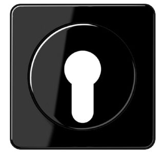 Черная накладка на переключатель клавиш. - Черная накладка для переключателя CD 528 SW.