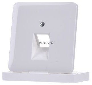 Белая альпийская крышка для розетки IAE/ZEA - ZEA/IAE (ISDN) CD 569-1 UA WW пластина