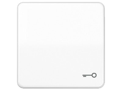 Символ кнопки DOOR aws - Белая накладка на переключатель/кнопку CD 590 BFT WW