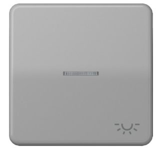 Символ рокера LIGHT/серый оптоволоконный кабель для подсвечиваемых кнопок CD 590 KO5L GR