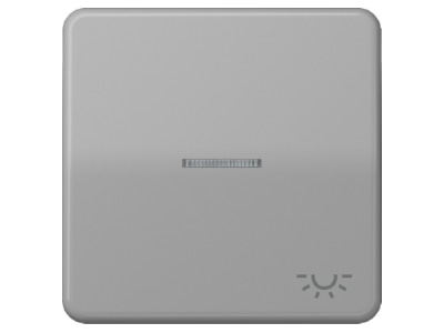 Символ рокера LIGHT/серый оптоволоконный кабель для подсвечиваемых кнопок CD 590 KO5L GR
