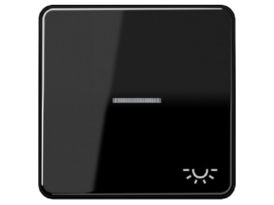 Символ рокера LIGHT/световод черный для подсвечиваемых кнопок CD 590 KO5L SW