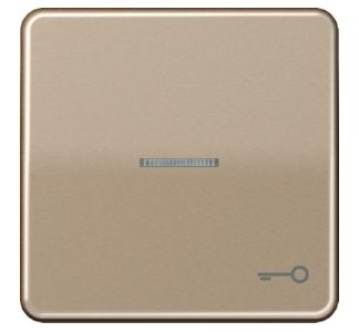 Символ дверной подставки/золотое оптическое волокно для подсвечиваемых кнопок CD 590 KO5T GB