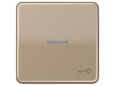 Символ дверной подставки/золотое оптическое волокно для подсвечиваемых кнопок CD 590 KO5T GB