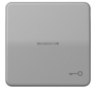 Символ дверной панели/световод серый для подсвечиваемых кнопок CD 590 KO5T GR