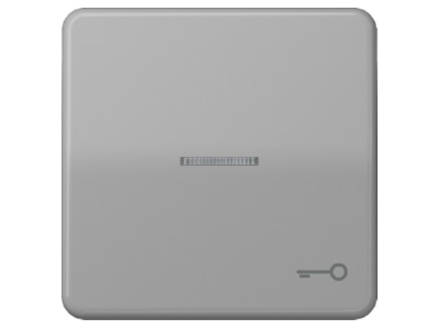 Символ дверной панели/световод серый для подсвечиваемых кнопок CD 590 KO5T GR