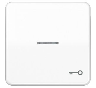 Символ дверной подставки/светодиод AWS для подсвечиваемых кнопок CD 590 KO5T WW