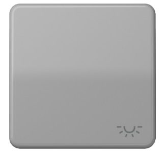 Символ ключа LIGHT gr для кнопки - Крышка для кнопки / серая кнопка CD 590 L GR