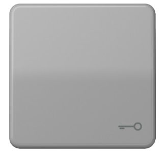 Символ кнопки-переключателя двери зеленый - Накладка на переключатель/кнопку серая CD 5...