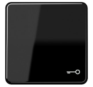 Символ переключателя DOOR SW для кнопки - Накладка/кнопка черная CD 590 T SW