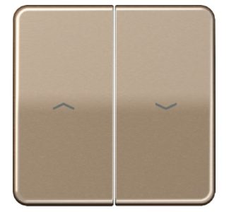 Накладка на кнопку Rocker Symbols золотисто-бронзового цвета - коричневая обложка CD 595 P GB