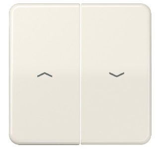 Ключевые символы ws для Jal.switch - обложка-слепок CD 595 PBF