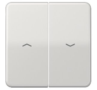 Символы рокера lgr для Jal.switch - Серая заглушка CD 595 PBF LG