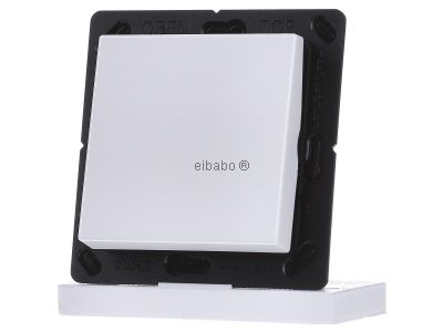 Беспроводной настенный передатчик, альпийский цвет, 2 канала ENO A 590 WW