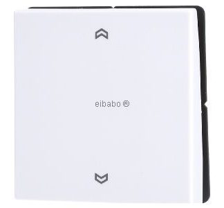 Беспроводной настенный передатчик, альпийский цвет, 2-канальный, маркировка ENO LS 990 P WW