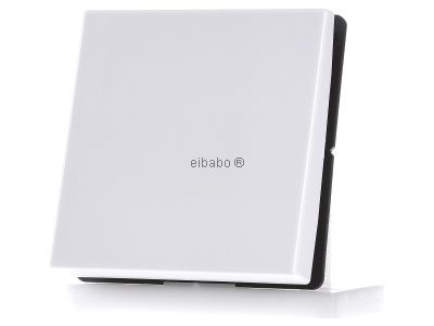 Беспроводной настенный передатчик, альпийский цвет, 2 канала ENO LS 990 WW