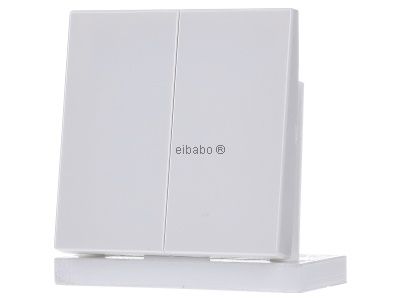 Беспроводной настенный передатчик, альпийский цвет, 4 канала ENO LS 995 WW