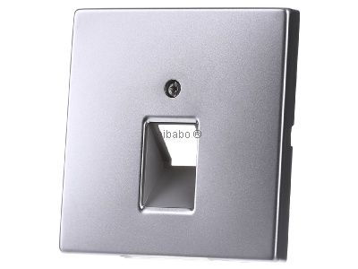 Крышка из нержавеющей стали для бокса IAE/ZEA - пластина ZEA/IAE (ISDN) ES 2969-1 UA