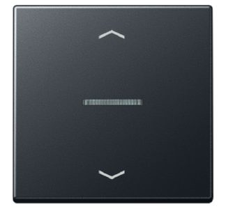 Кнопка управления радиостанцией eNet, стандартная, одночастотная FM-станция A 1700 BFP ANM