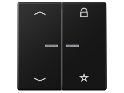 Кнопка беспроводного управления ENet, матовая графитово-черная FM A 1701 BFP SWM