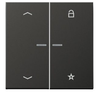 Кнопка управления двухсторонней радиостанцией ENet, символ стрелки FM AL 1701 P AN