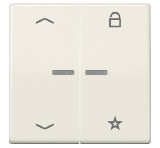 Кнопка управления радиоприемником ENet - стрелки - Smart Control White FM AS 1701 P