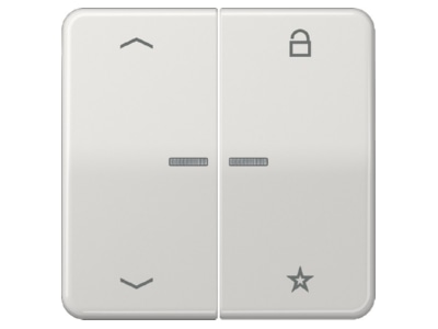 Кнопка управления радио ENet 2-позиционная, символ стрелки FM CD 1701 P LG