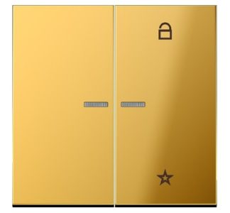 Кнопка управления радиоприемником eNet, двухпозиционная, золотистая - Интеллектуальный элемент управления золотистого цвета...