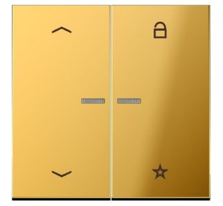 Символ стрелки кнопки управления радио ENet, золотистый FM GO 1701 P