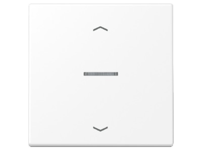 Кнопка управления радиоприемником ENet со стрелкой — элемент управления Smart Control Element White FM LS 170...