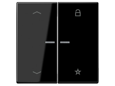 Символ стрелки кнопки беспроводного управления ENet, черный FM LS 1701 P SW