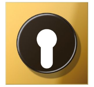 Крышка для золотого ключа - Накладка для золотого ключа GO 2928