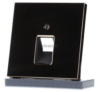 Золотая крышка розетки IAE/UAE — паспортная табличка UAE/IAE (ISDN) GO 2969-1 UA