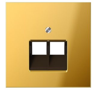 Крышка подключается к разъему IAE/ZEA - плата ZEA/IAE (ISDN) GO 2969-2 UA