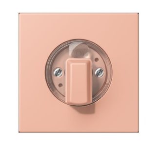 Крышка поворотного переключателя Rose Clair - жалюзи LC 1941231