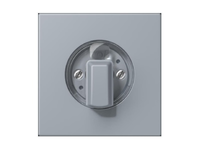 Крышка поворотного переключателя Gris Clair 59 - глухая крышка LC 1941257