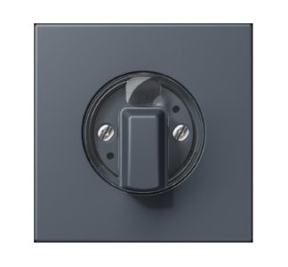 Крышка поворотного переключателя gris foce 59 - Крышка для жалюзи LC 1941262