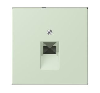 Крышка для IAE/ZEA бледно-английского цвета – плата ZEA/IAE (ISDN) LC 969-1 UA218