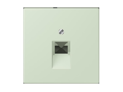 Крышка для IAE/ZEA бледно-английского цвета – плата ZEA/IAE (ISDN) LC 969-1 UA218