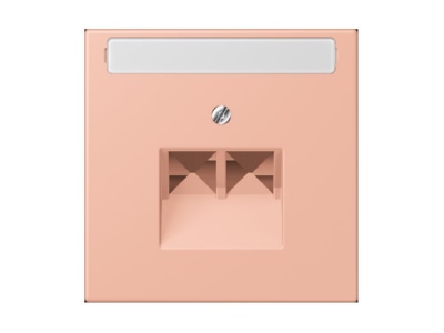 Крышка для IAE/UAE Rose Clair (32102) - ZEA/IAE (ISDN) Plate LC 969-2 NAUA231