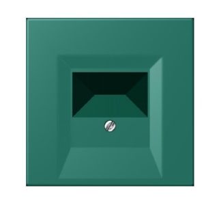 Крышка для TAE vert anglais (32040) - пластина TAE LC 969 T216