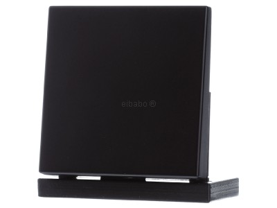 Кнопка управления по умолчанию - Smart Control Black LS1700SWM