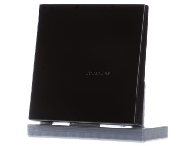 Кнопка управления по умолчанию - Smart Control Black LS 1700 SW